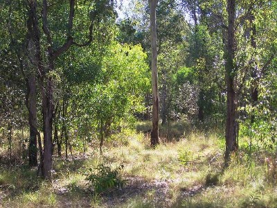 HERE IT IS!! Picture HERE IT IS!! Picture