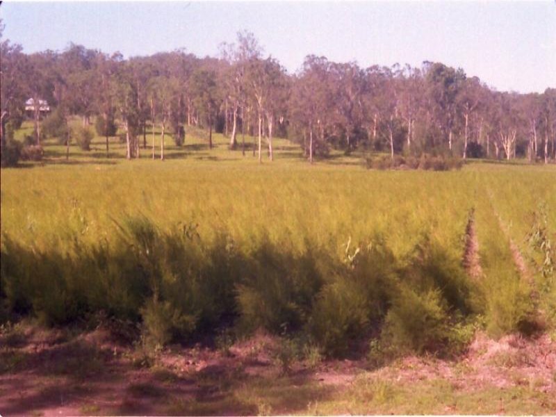 HILLSIDE TO WATERFRONT Picture 2