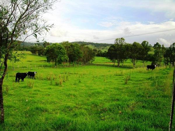 IDEAL FAMILY HOBBY FARM Picture 3