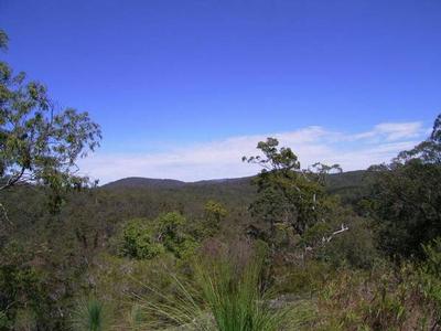 LARGE ROCK & BUSH BLOCK Picture