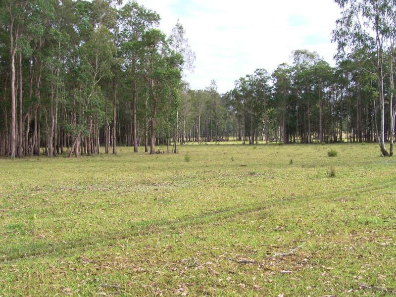 ONE FOR THE FAMILY Picture 2