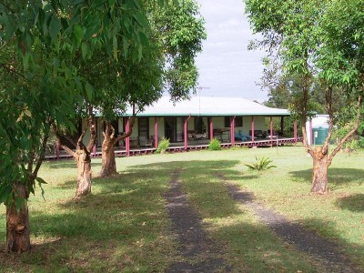 ONE FOR THE FAMILY Picture