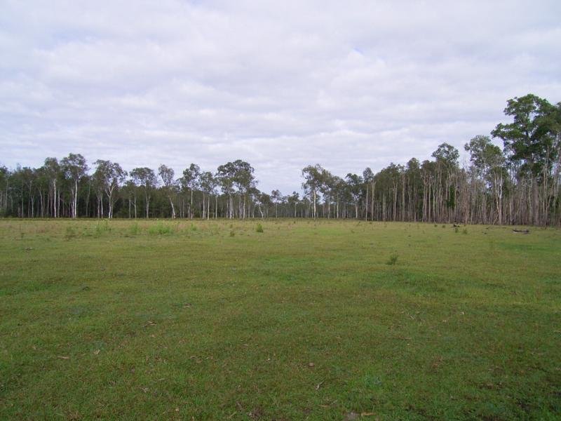 ONE FOR THE FAMILY Picture 3