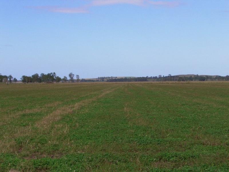 POSTION POTENTIAL Picture 2