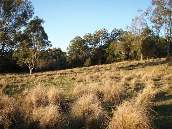 RARE OPPORTUNITY Picture 3