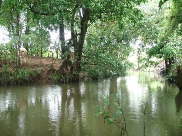 RARE OPPORTUNITY Picture 1