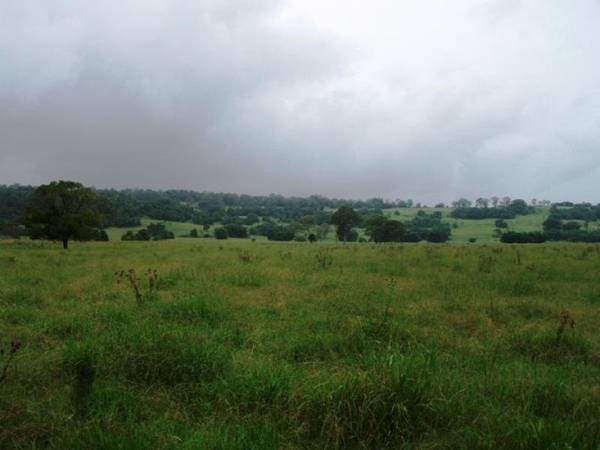 RARE OPPORTUNITY Picture 2