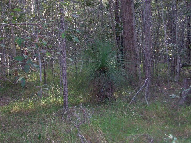 Rural Weekender Picture 3