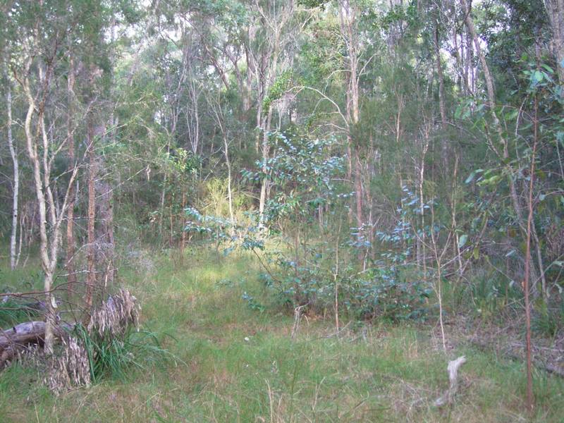 Rural Weekender Picture 2