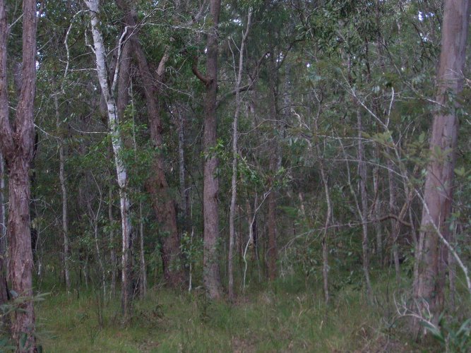 Rural Weekender Picture 1