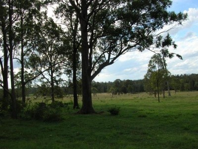 TIKABOO PARK Picture TIKABOO PARK Picture