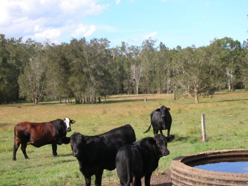 TIKABOO PARK Picture 2