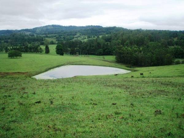 TOP GRAZING PROPERTY Picture 3