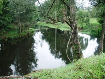 TOP GRAZING PROPERTY Picture TOP GRAZING PROPERTY Picture