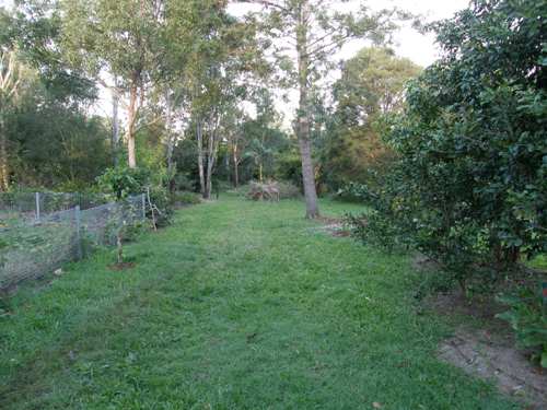 CHARACTER & CHARM Picture 2