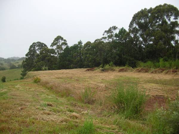 INDUSTRIAL LOT - GOONELLABAH Picture 1