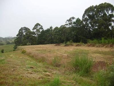 INDUSTRIAL LOT - GOONELLABAH Picture