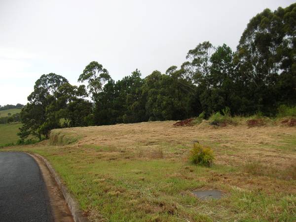 INDUSTRIAL LOT - GOONELLABAH Picture 3