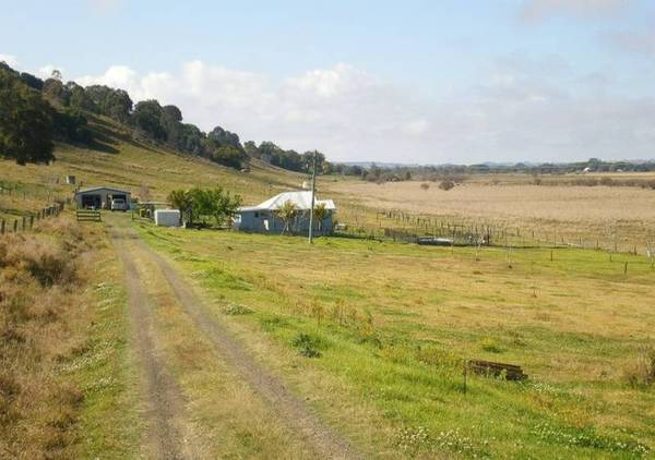 WHAT A LIFESTYLE Picture 2