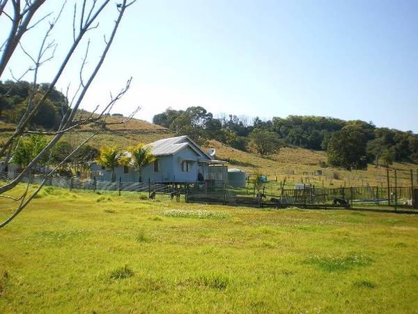 WHAT A LIFESTYLE Picture 3