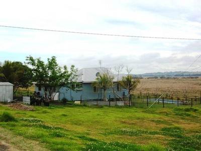 WHAT A LIFESTYLE Picture WHAT A LIFESTYLE Picture