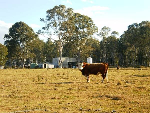 Where Dreams Begin Picture