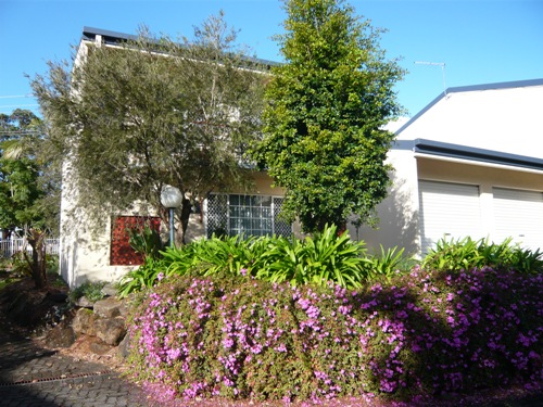 IMMACULATE PRESENTATION Picture