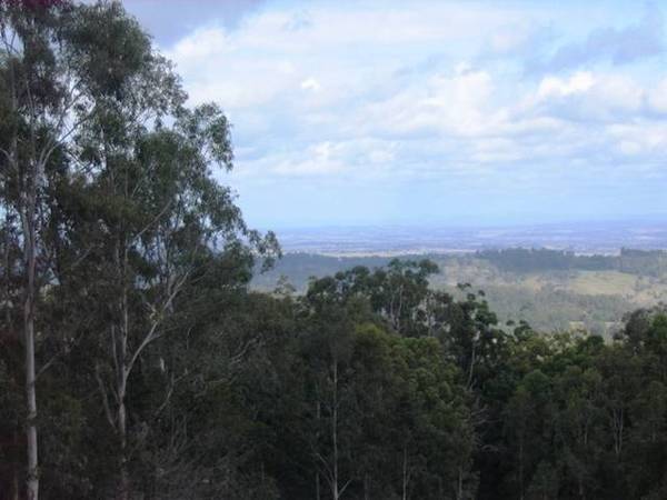 PICTURESQUE BUSH BLOCK Picture PICTURESQUE BUSH BLOCK Picture