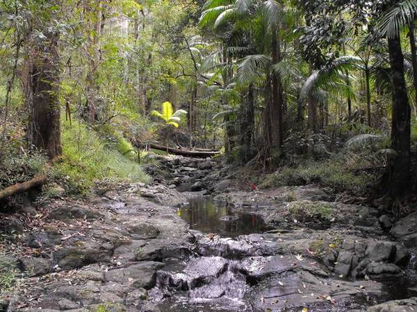 PICTURESQUE BUSH BLOCK Picture