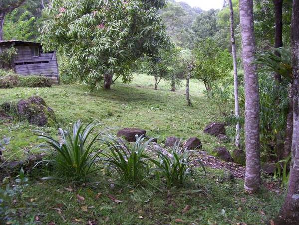 700 Terania Creek Road, Terania Creek Picture 3