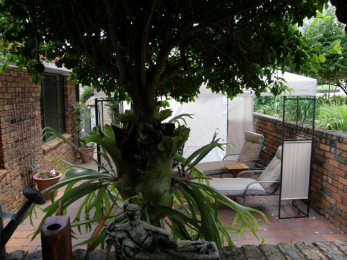 HIDDEN TREASURE AT END OF CUL DE SAC Picture