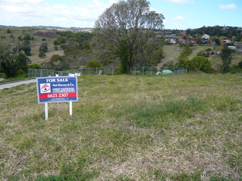 DUPLEX ALLOTMENT Picture 3