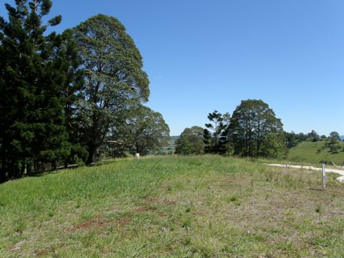 PRIME NORTH RIDGE ALLOTMENT Picture 3