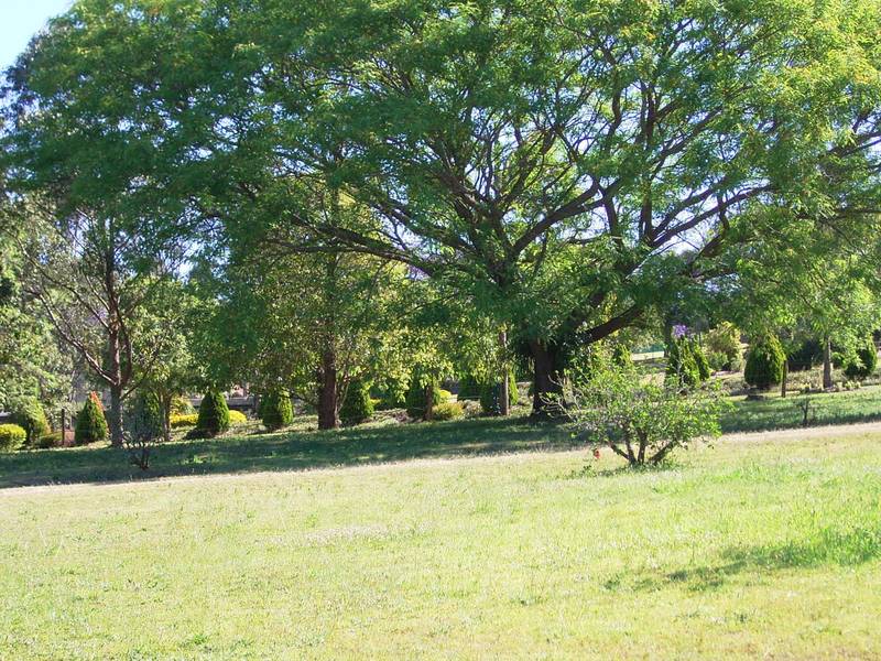 PARK LIKE SETTING Picture