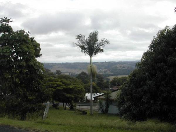 27 Weemala Street, Lismore Heights Picture 27 Weemala Street, Lismore Heights Picture