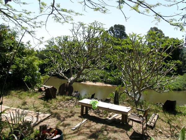 SOUTH LISMORE - RIVERSIDE SETTING Picture 1