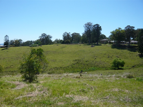 NORTHERN RIDGE ALLOTMENT Picture 3