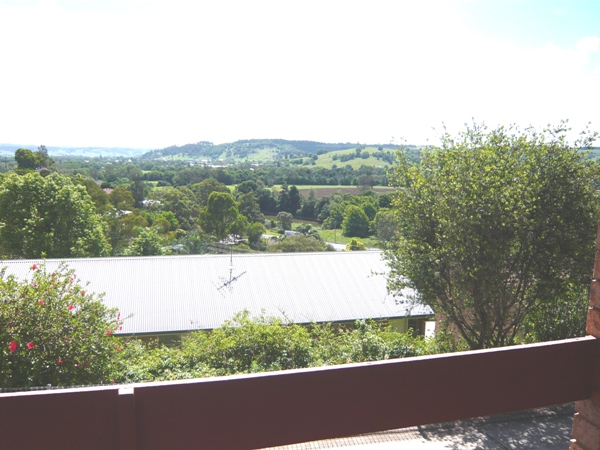 POTENTIAL & PRICE Picture 3