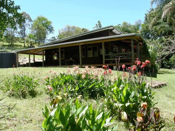 ALPACA STUD IN THE GENTLE ROLLING HILLS OF GEORGICA Picture