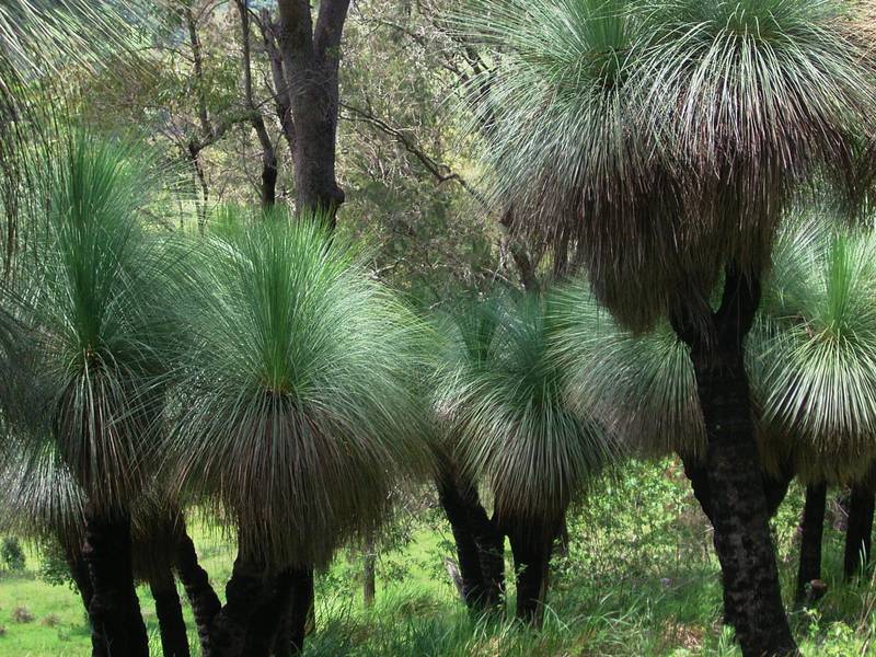 MAKE IT YOURS!! Picture 2