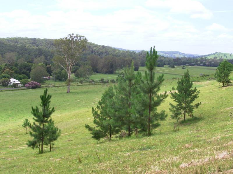 A GREAT STARTER Picture 2