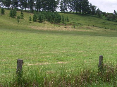 A GREAT STARTER Picture