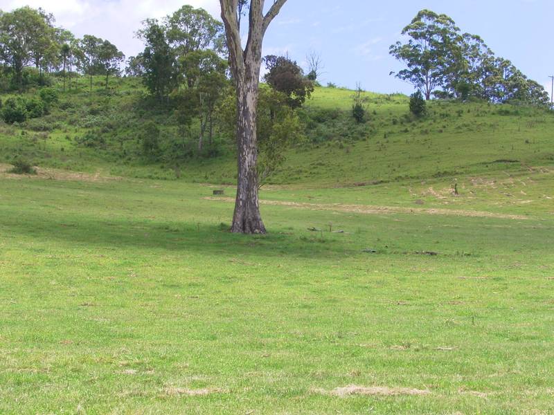 A GREAT STARTER Picture 1