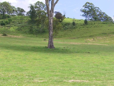 A GREAT STARTER Picture A GREAT STARTER Picture