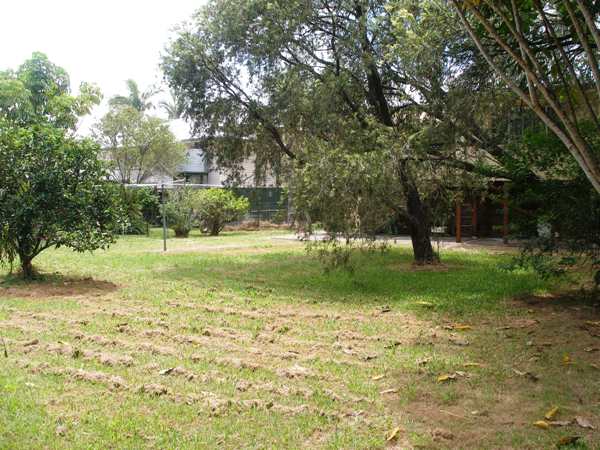 CALL ALL RENOVATORS Picture 2