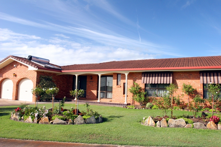 I PROMISED YOU A ROSE GARDEN Picture 2