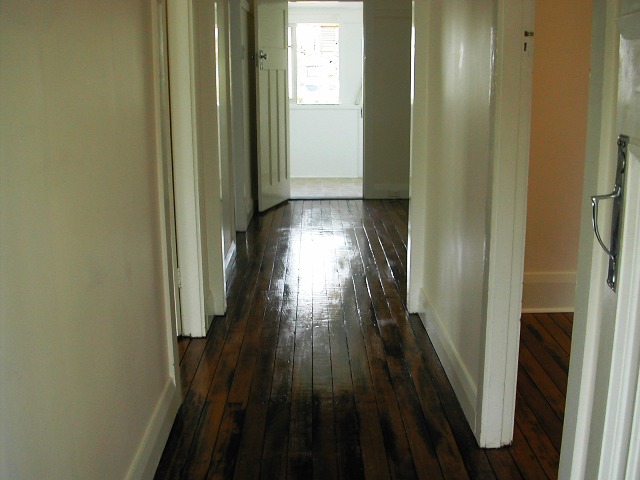 EAST LISMORE CHARMER Picture