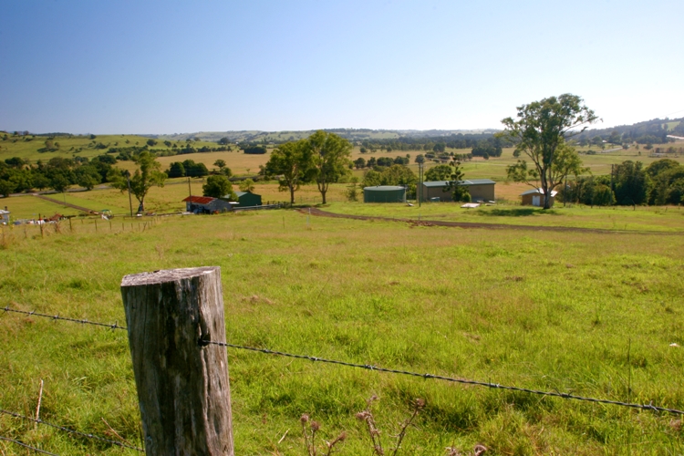 A WORLD OF ITS OWN Picture 1