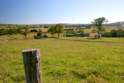 A WORLD OF ITS OWN Picture