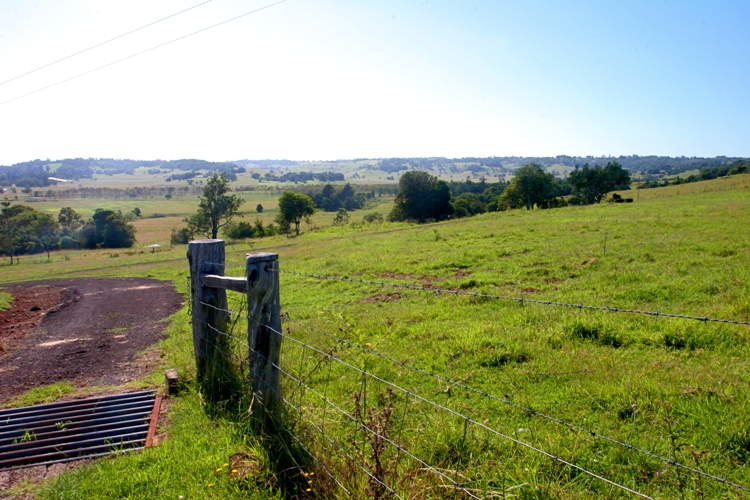 A WORLD OF ITS OWN Picture 3